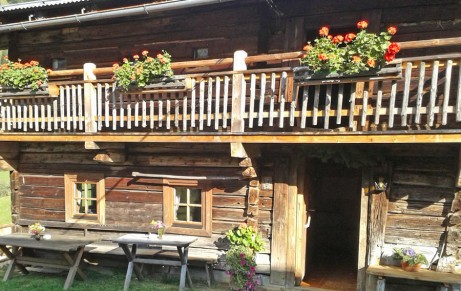 Grasshütte im Ellmautal
