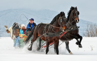 Pferdeschlittenfahrten im Großarltal