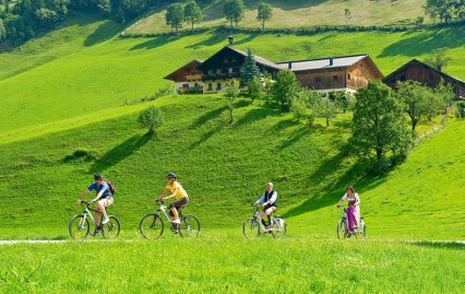 Mountainbikeurlaub in Großarl