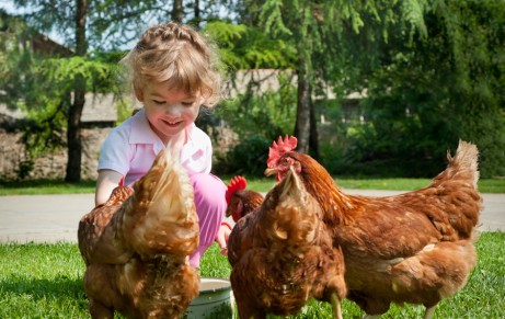 Kinder dürfen Tiere am Hedegghof in Großarl füttern